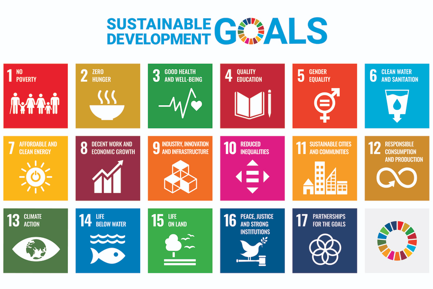 Youth-led initiatives around the UN Sustainable Development Goals (SDGs ...